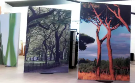 Дизайн потолков