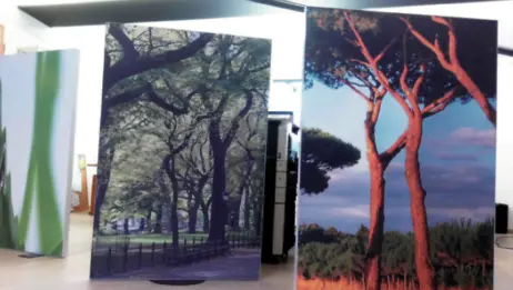 Дизайн потолков и стен