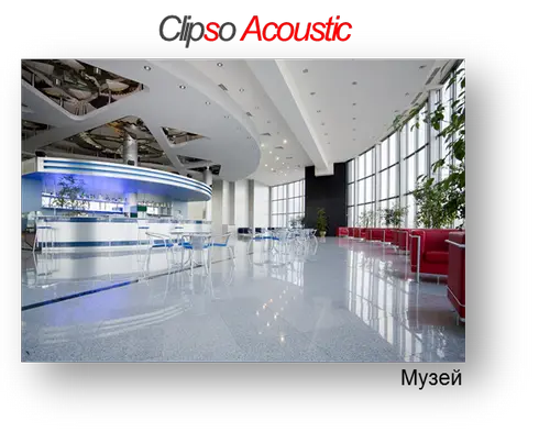 Клипсо акустик