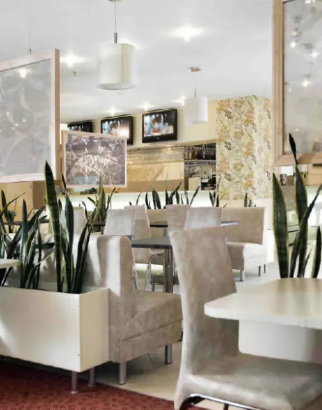 Виды потолков